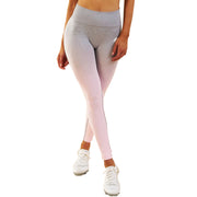 Womens Seamless Yoga Leggings Workout Tights Gradient Colour