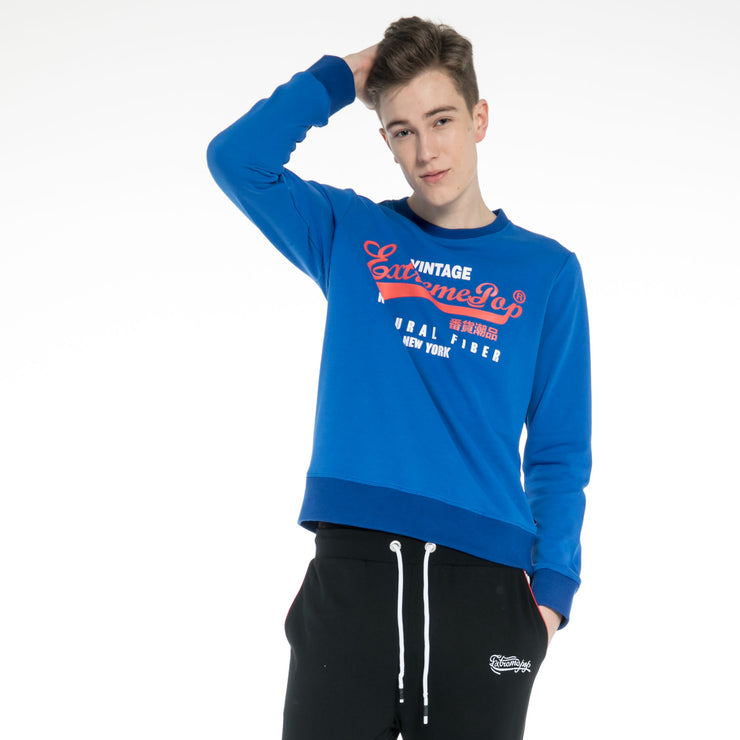Sweatshirt for Men Long Sleeve Pullover Jumper with Printed Vintage Style Logo by Extreme Pop UK Stock